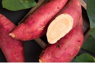 悦诗风吟水乳怎么样5