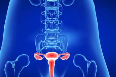 头发掉的好厉害怎么办 7个妙招还你乌黑秀发7