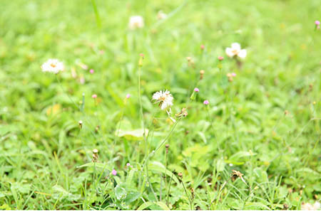 2017年中秋节免过路费吗 详解中秋节高速免费时间段2