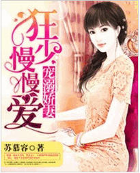 宠溺娇妻：狂少慢慢爱小说全文阅读 宠溺娇妻：狂少慢慢爱txt免费下载