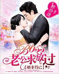 婚非得已：BOSS老公求放过小说全文阅读 婚非得已：BOSS老公求放过txt免费下载