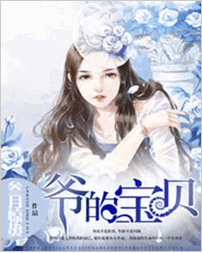 爷的宝贝小说免费阅读 爷的宝贝百度云txt下载