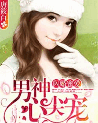 闪婚蜜爱免费全文阅读 闪婚蜜爱免费txt下载