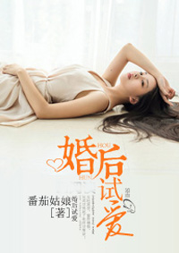 婚后试爱小说全文阅读 婚后试爱txt免费下载_亲亲宝贝网