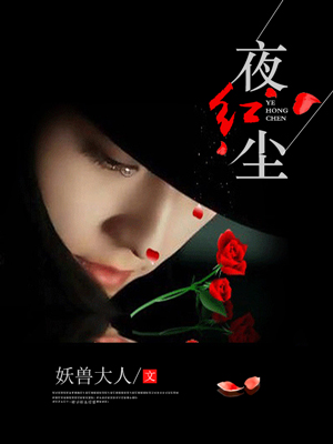 夜红尘小说全文阅读 夜红尘txt免费下载_亲亲宝贝网
