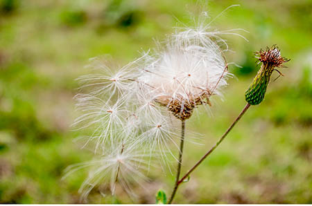 鬼节出生的孩子好吗 鬼节出生一定不好吗？2