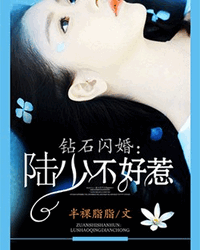 钻石闪婚：陆少不好惹夏一飞全文免费阅读 钻石闪婚：陆少不好惹陆维桐全文在线阅读