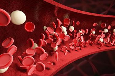 国庆节民政局上班吗 详细介绍民政局上班时间3