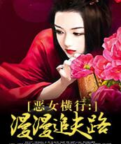 恶女横行：漫漫追夫路免费在线全文阅读 书评 好看吗？