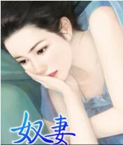 奴妻免费在线全文阅读 书评 好看吗？