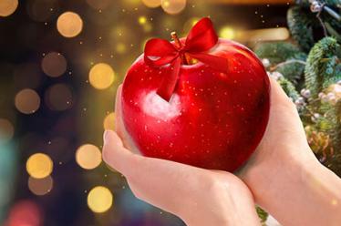 1岁儿童睡前故事文字版大全6