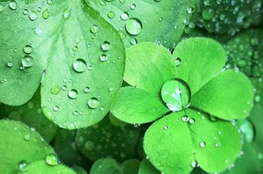 雨霖铃寒蝉凄切柳永古诗翻译