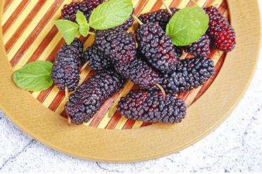 精子果冻状能生孩子吗 果冻状精子是不育的症状吗？4