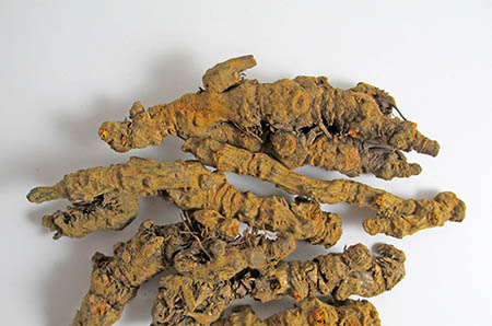 生理期可以贴足贴吗 生理期要注意什么?2 生理期可以贴足贴吗 生理期要注意什么?2