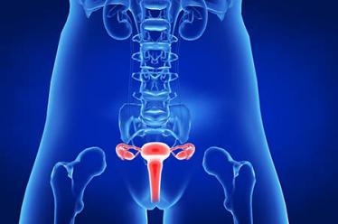 备孕期间女性补肾食疗食谱 女性也需要补肾4