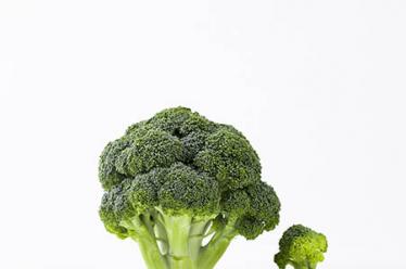 妇科手术后饮食食谱 术后一定要吃这些食补2