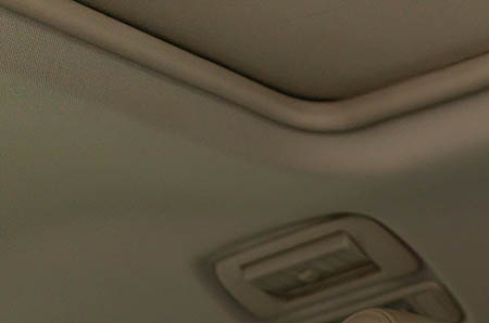 男人吃鹿茸好还是鹿鞭好 鹿茸和鹿鞭都能壮阳吗？2