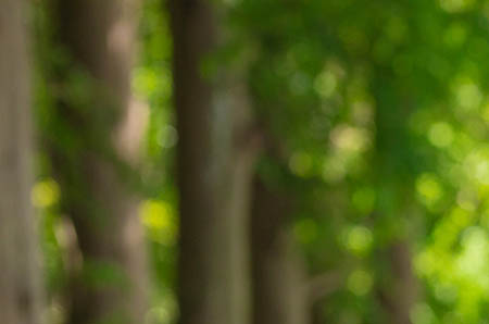 2019年10月搬家黄道吉日3