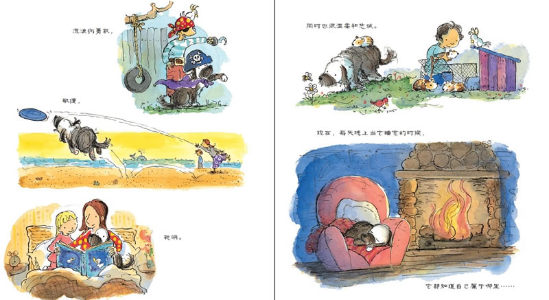 一只流浪狗的幸福生活绘本8