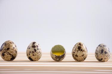 哺乳期鹌鹑蛋做法大全4
