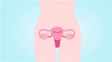 多囊卵巢跟脾胃虚弱有关系吗 脾胃跟多囊居然也有关系？2