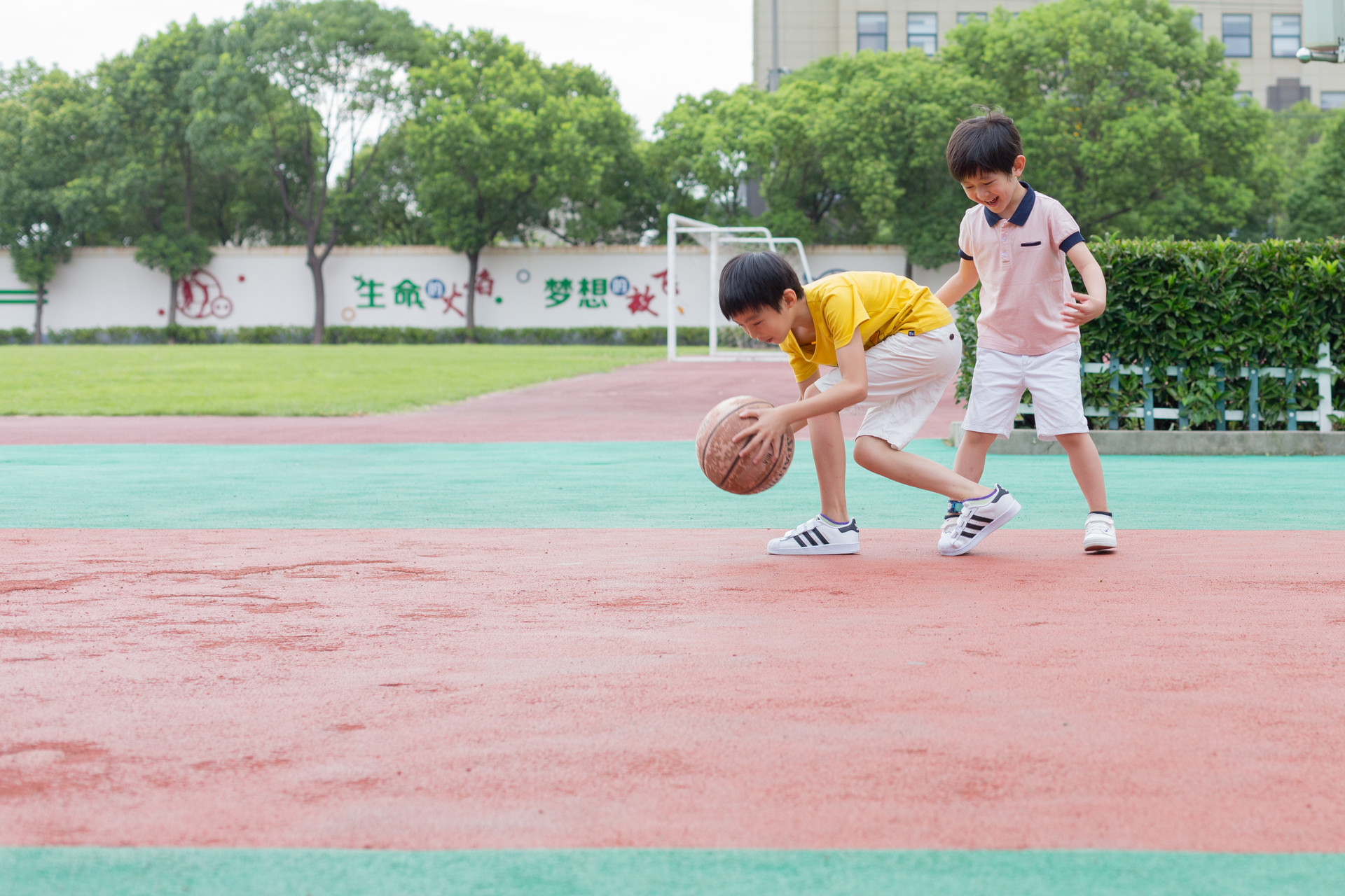 2019年双女户放开三胎吗1