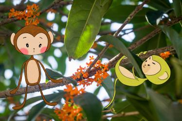 胎教故事大全每天一个：小猴子的烦恼事2