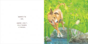城里狗乡下蛙绘本2