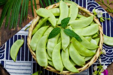 孕期爸爸胎教故事大全：小豇豆和小扁豆的秘密2