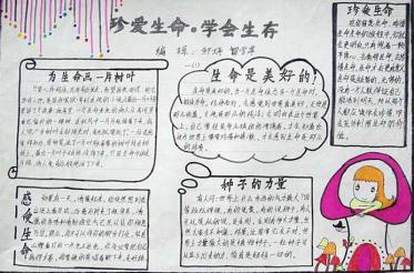 生命手抄报图片大全3