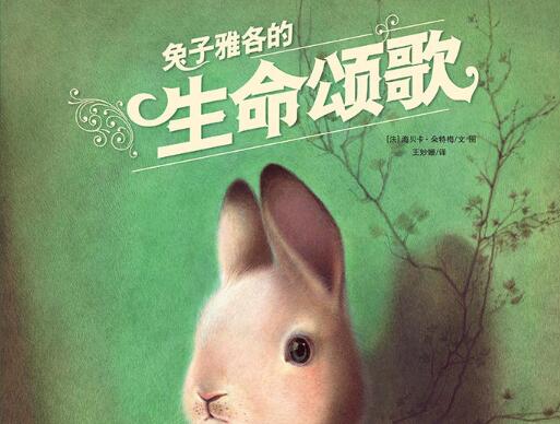 兔子雅各的生命颂歌绘本7