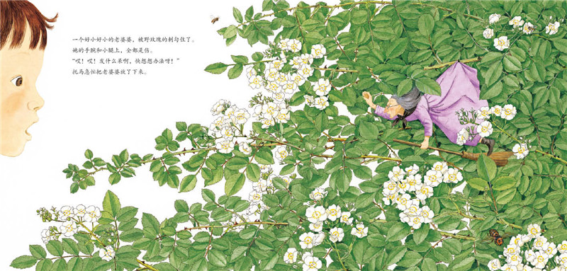 小女巫绘本3