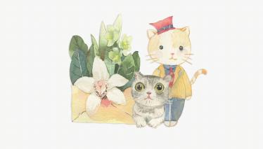 小学儿童短篇故事文字版：猫猫丢脸记2