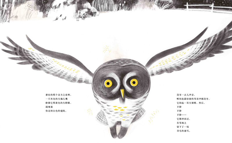 当你沉睡的夜晚绘本4
