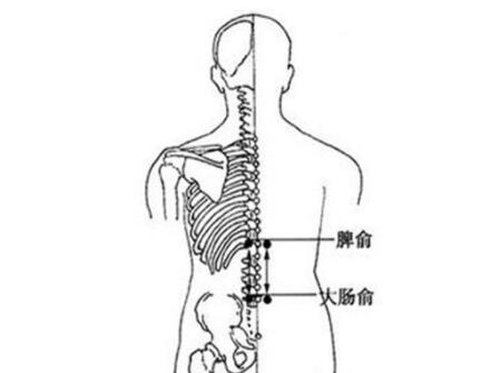 小儿痢疾湿热痢推拿方法5