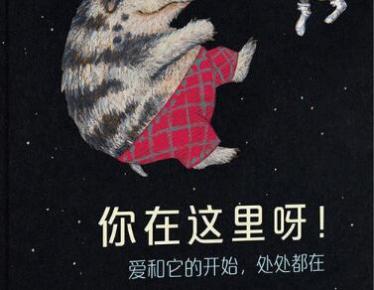 你在这里呀绘本7