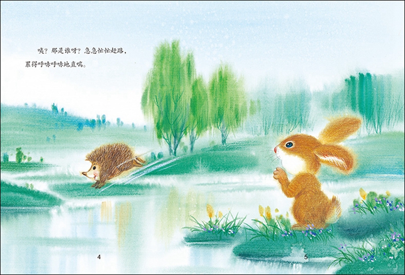 学会分享的小松鼠绘本2