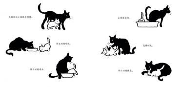 大猫，小猫绘本6