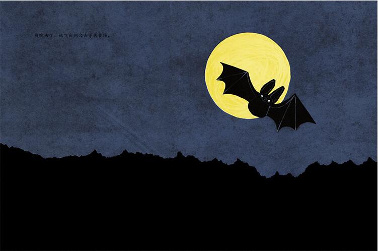 爱色彩的蝙蝠绘本3