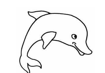 海豚怎么画简笔画图片大全
