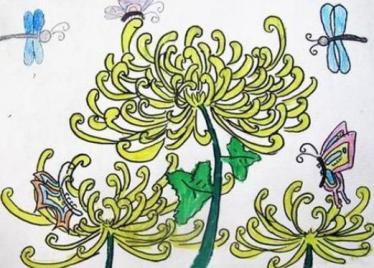 关于菊花的儿童画图片大全