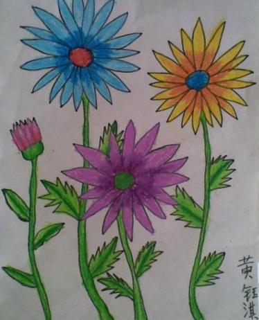 关于菊花的儿童画图片大全