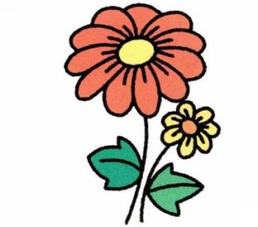 关于菊花的儿童画图片大全