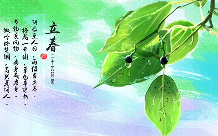 关于立春的作文800字