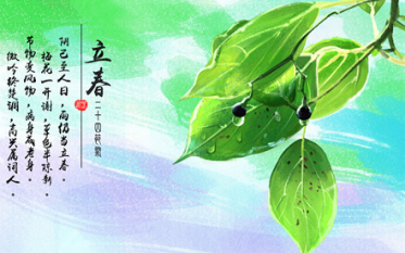 关于立春的作文800字