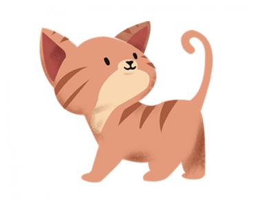 两只小花猫的故事