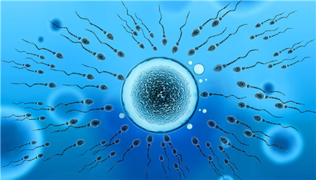 精子存活率低能否怀孕2