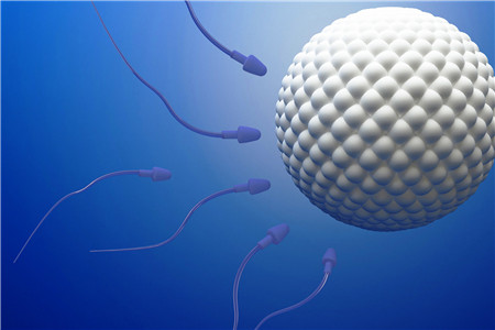 精子存活率30%能否怀孕