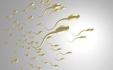 精子存活率30%能否怀孕2