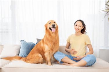 抽血验孕结果怎么看2
